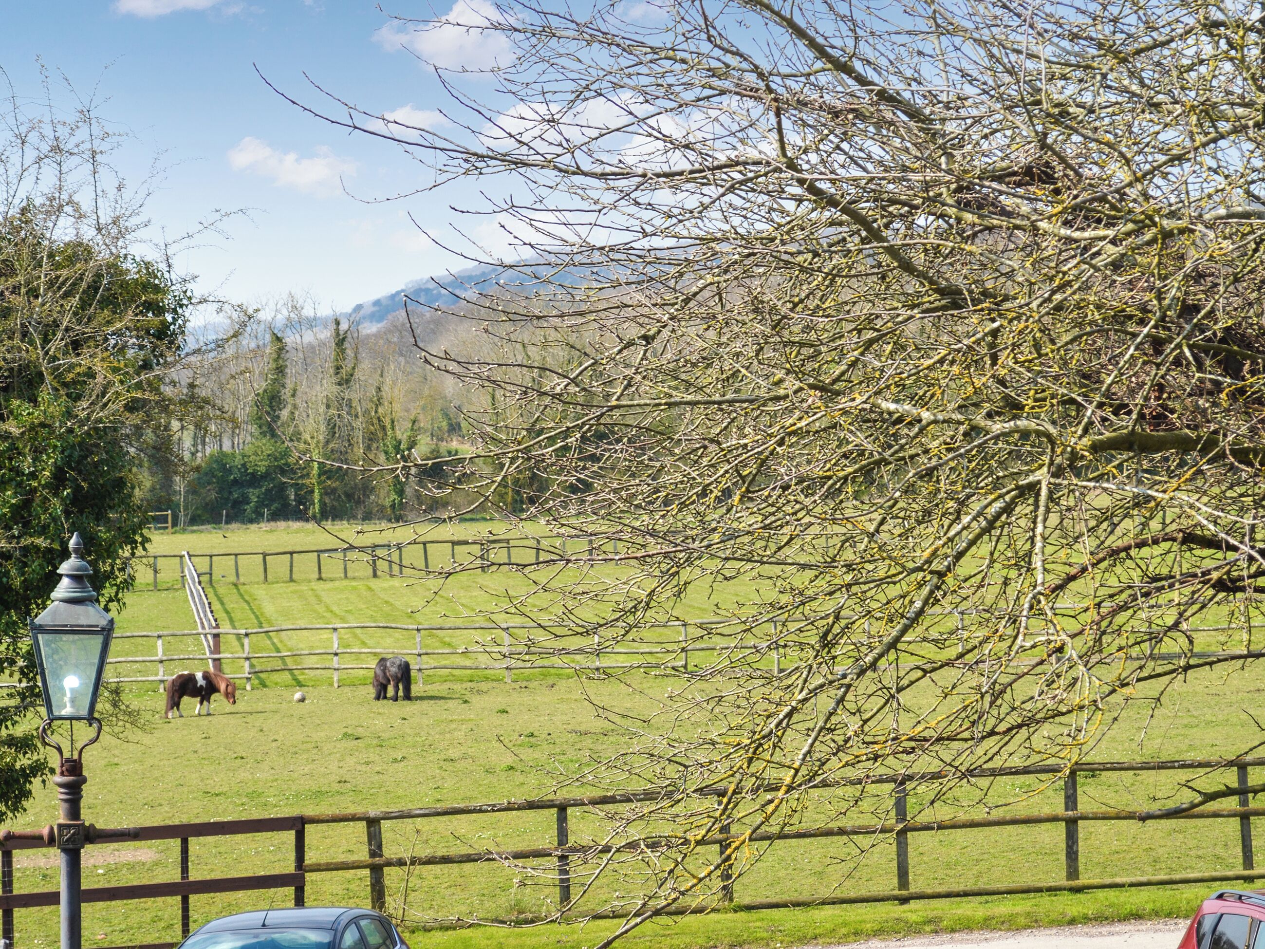 Paesaggio rurale con un campo recintato, un lampione e un'auto.