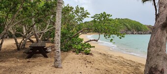 #Profitez du charme des Studios 309  AbricotPays  #