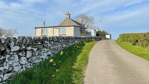 A rural house with a stone wall, a paved driveway, and daffodils in the grass. - 3 bedroom accommodation in Newton Stewart (Newton Stewart)