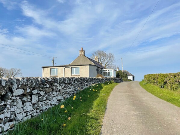 A rural house with a stone wall, a paved driveway, and daffodils in the grass.