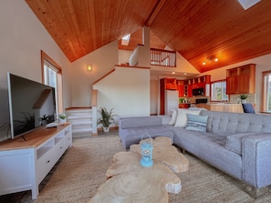 Smart-TV, Kamin
