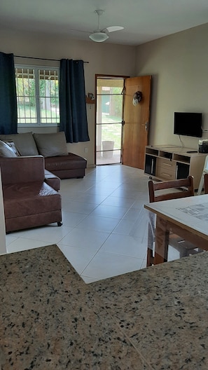 Älytelevisio, DVD-soitin