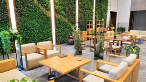 A modern indoor space with wooden furniture, green walls, and a variety of seating options.