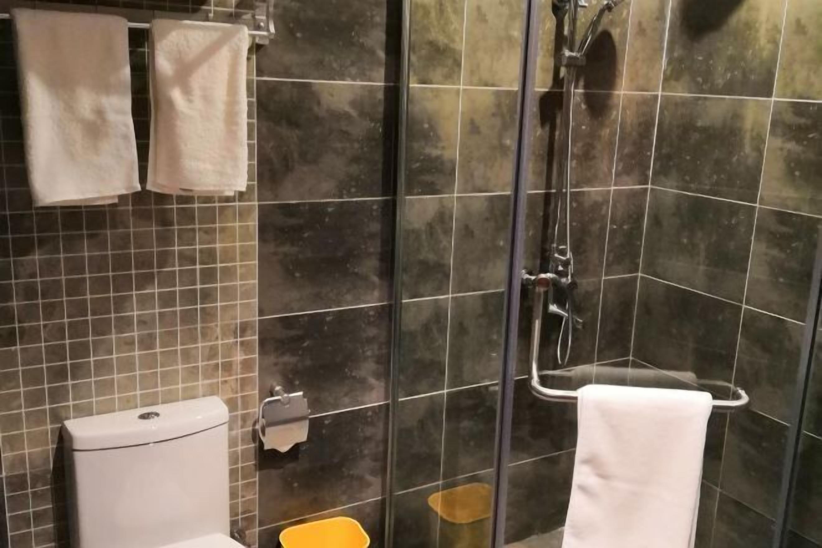 Une salle de bain avec une douche à parois de verre, des toilettes et deux serviettes accrochées au mur.