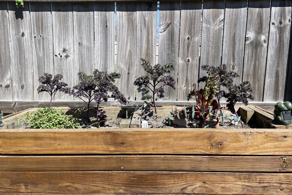 DĂ©tail de lâextĂ©rieur