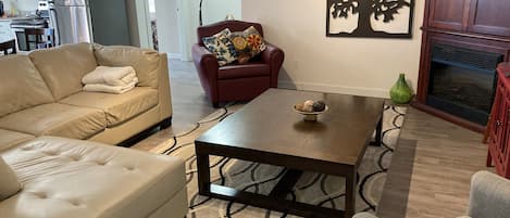 TV, caminetto, lettore DVD, videoteca