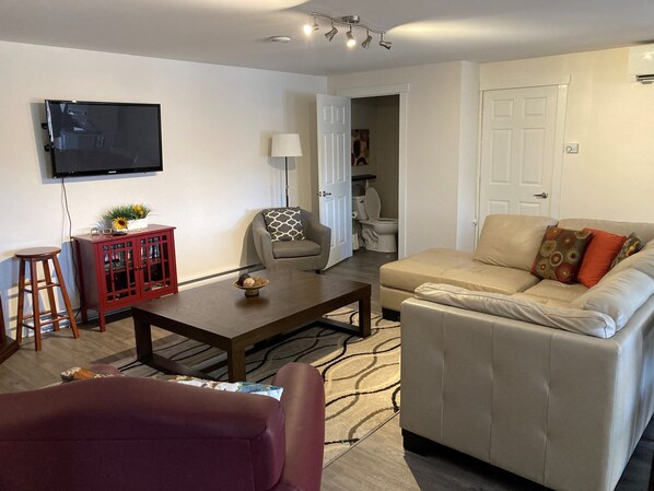 تلفزيون، مدفأة، مشغل دي في دي، مكتبة فيديو