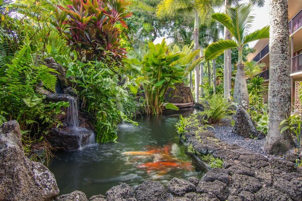 Property grounds - Beautiful 2nd floor ocean view studio (Koloa)