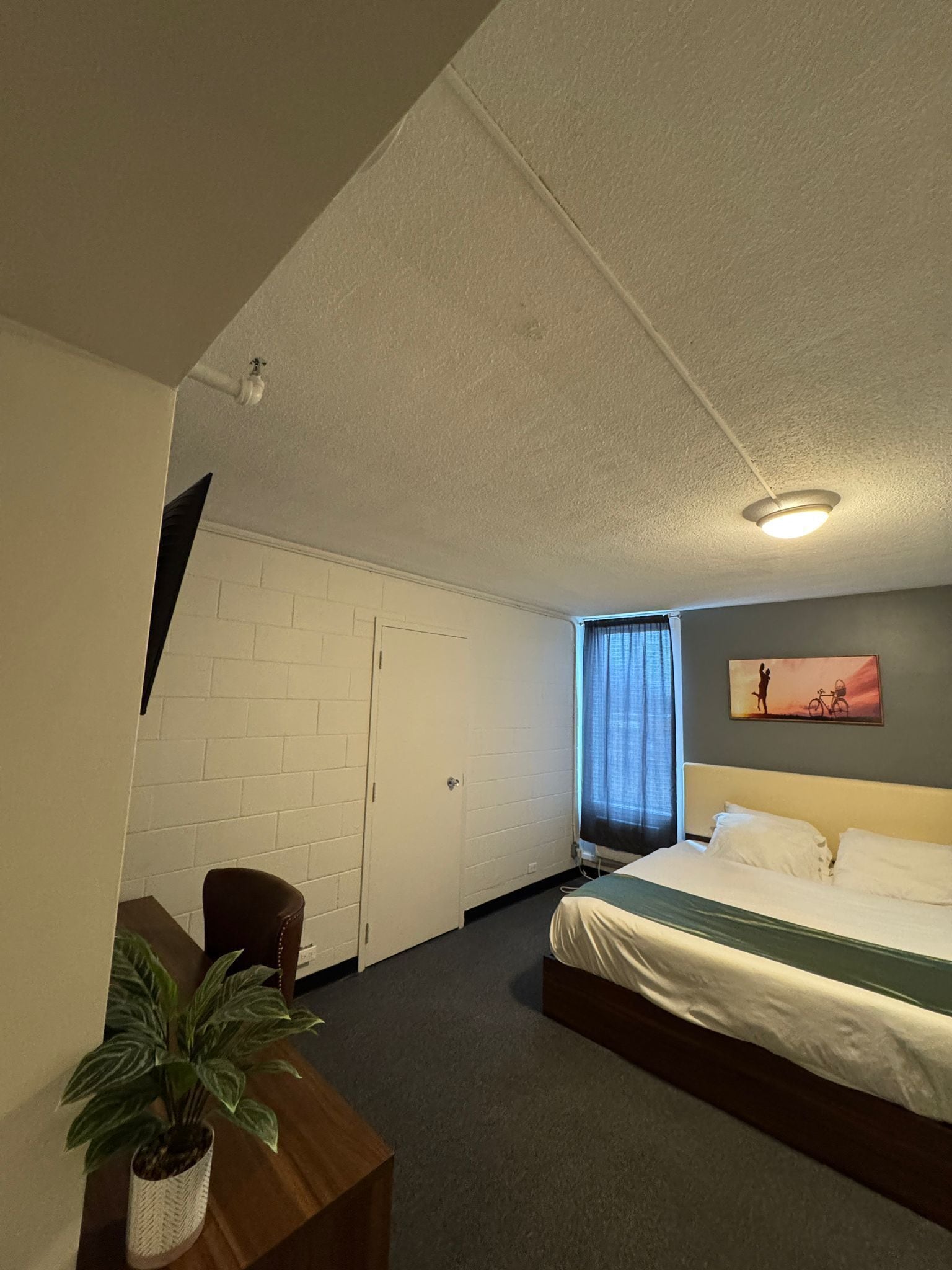 Quarto de hotel com cama, escrivaninha, cadeira, planta em vaso, janela com cortinas e um quadro na parede.