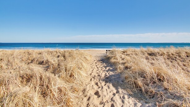 A sandy beach path leading to the ocean, surrounded by dry grass. - Beachfront Old Orchard Beach Condo w/ Balcony (Old Orchard Beach)