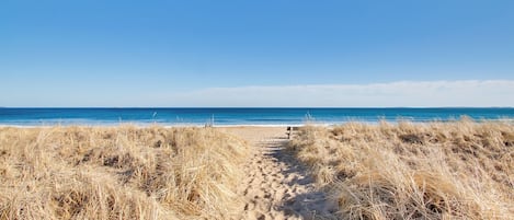 A sandy beach path leading to the ocean, surrounded by dry grass.