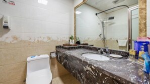 Un baño con un inodoro blanco, un lavamanos de mármol y un espejo grande.