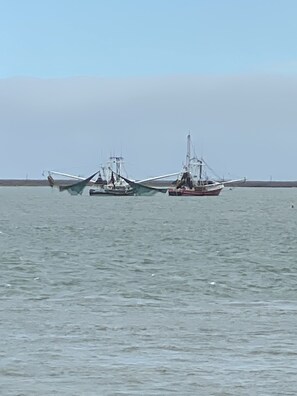Beach - Old Town Port Aransas! (Port Aransas)