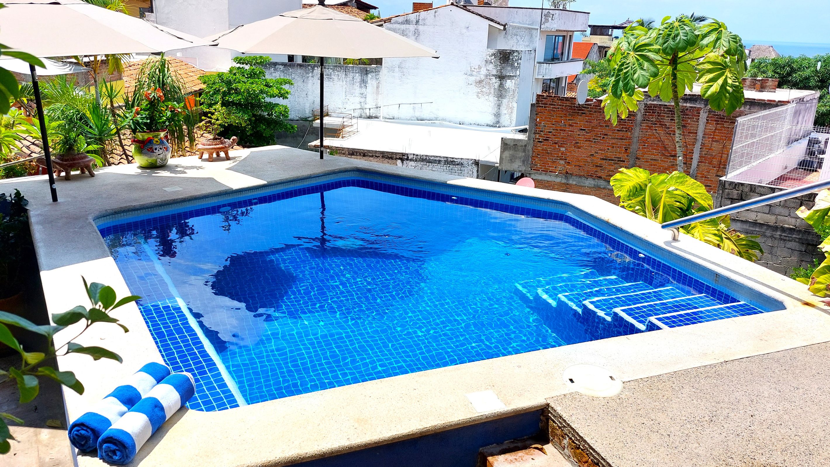 A rectangular swimming pool with clear blue water, surrounded by a concrete deck, and a few potted plants.