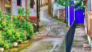 Un callejón estrecho flanqueado por edificios, algunos con balcones y plantas a la vista.