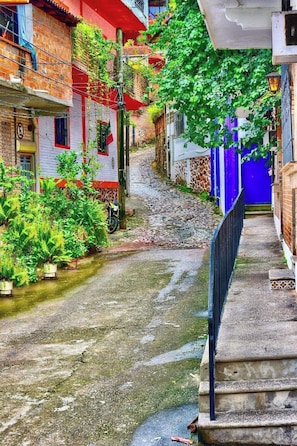 Un callejón estrecho flanqueado por edificios, con una puerta azul y plantas en macetas.