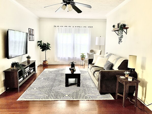 Älytelevisio, kirjoja