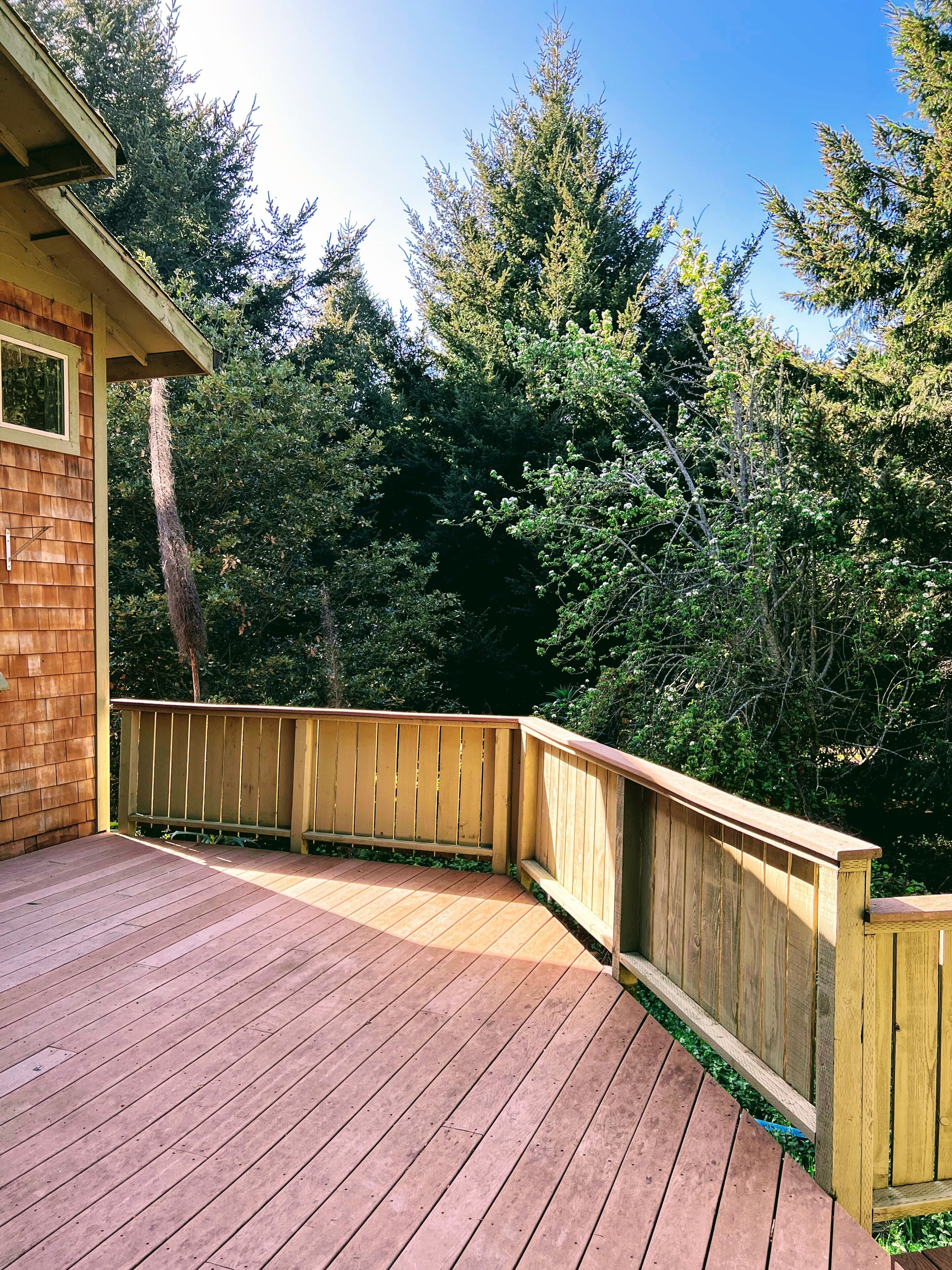 A wooden deck with a wooden railing, surrounded by dense trees.