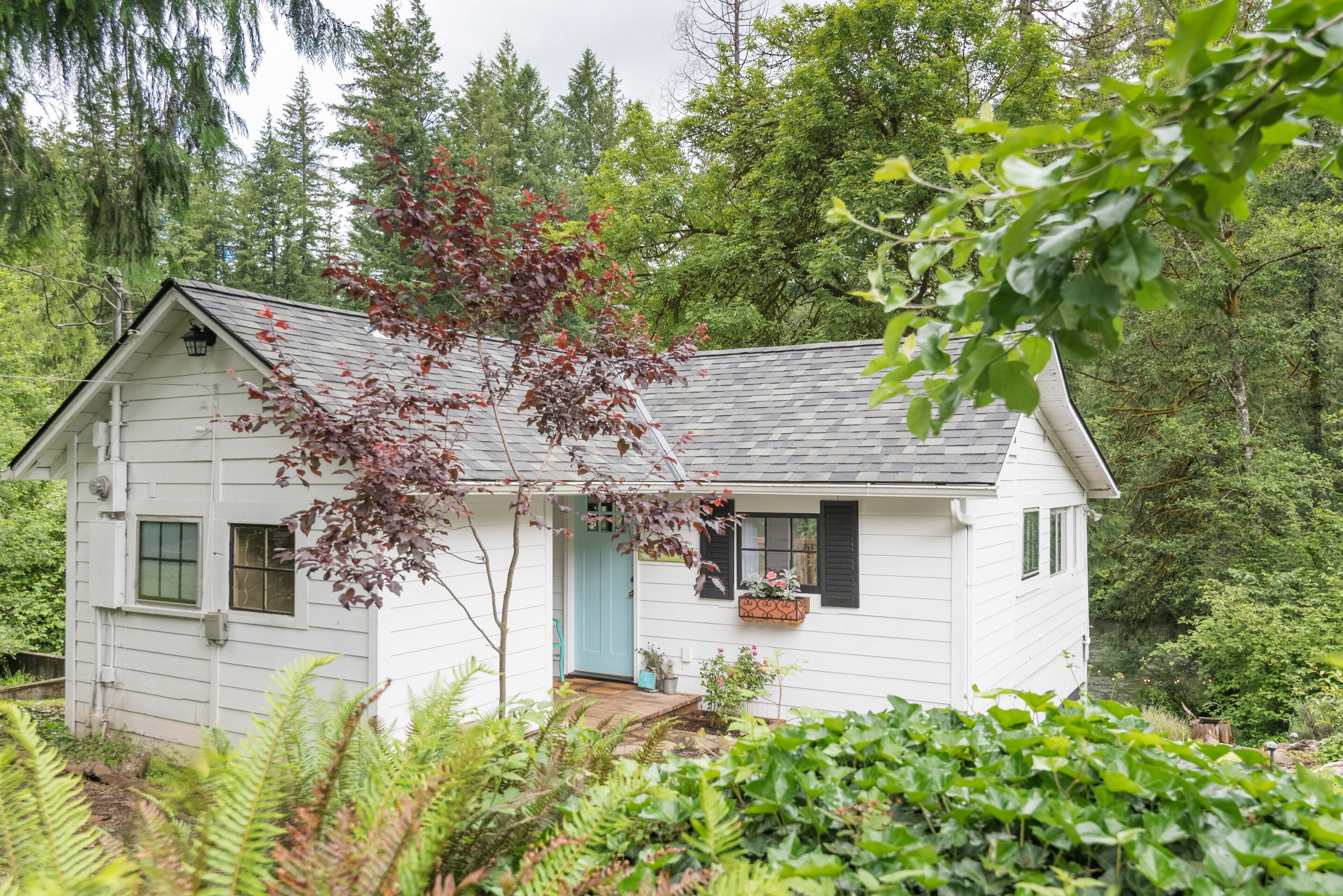 RIVERSIDE Cottage on the East Fork Lewis River