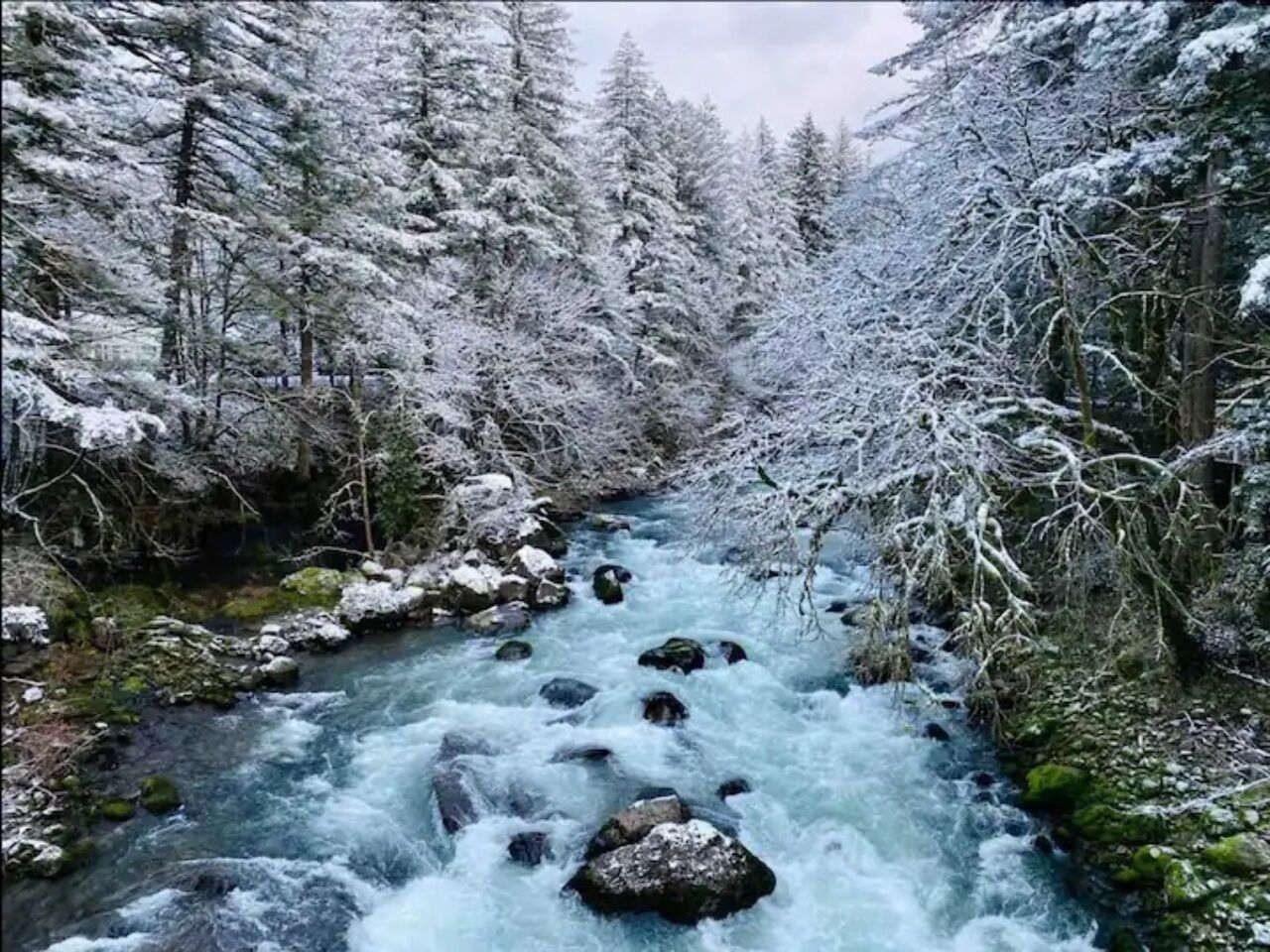 RIVERSIDE Cottage on the East Fork Lewis River