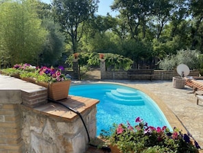 A swimming pool with a stone border, surrounded by potted plants and trees.