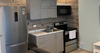 Palmas View Premium 6