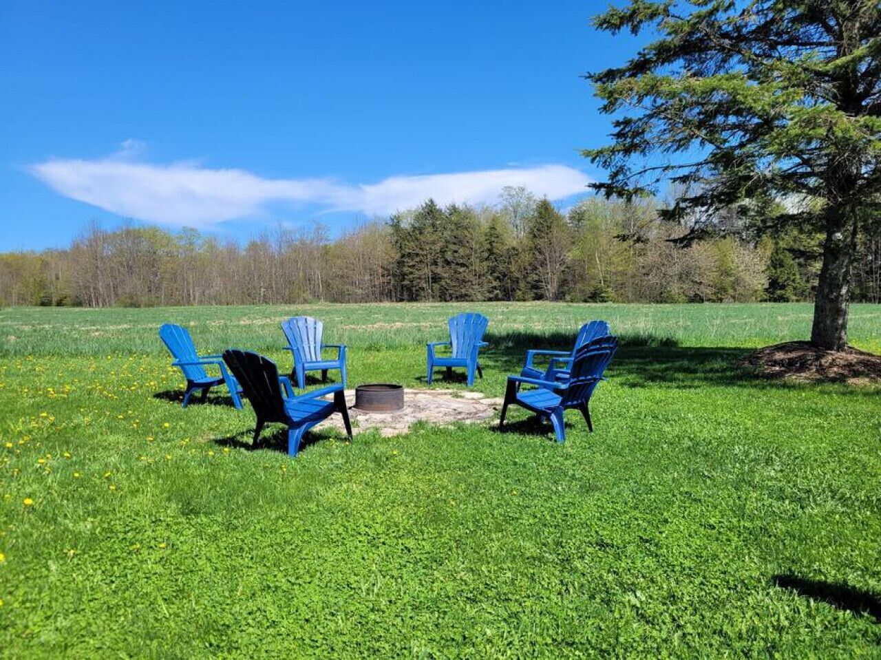 A grassy outdoor area with four blue chairs arranged around a central fire pit.