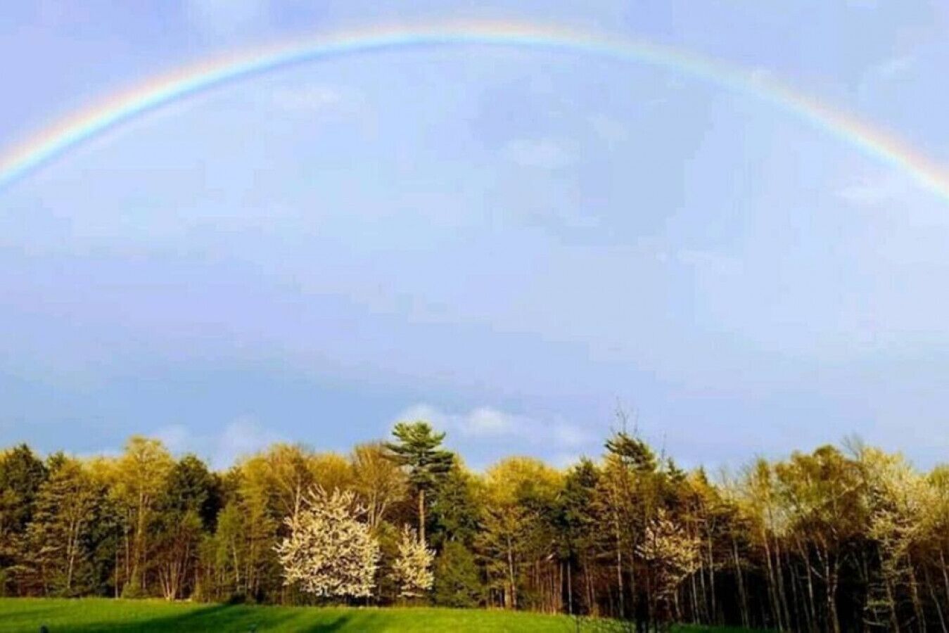 A landscape with a rainbow, trees, and a clear sky.