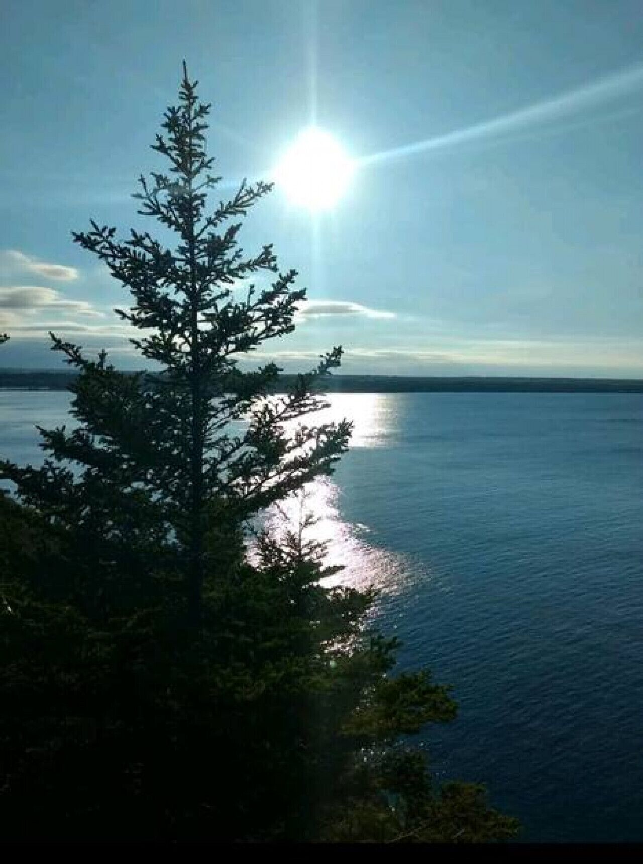 A tree in the foreground with a body of water and a clear sky in the background.