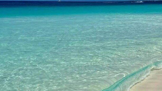 A beach with clear turquoise water and a sandy shore. - Love and Peace Vacation Rental Aruba (Noord)