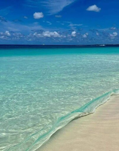 Love and Peace Vacation Rental Aruba