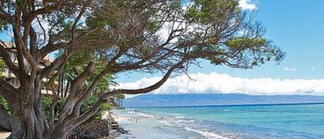 Tæt på stranden, liggestole, badehåndklæder