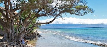 The beach is waiting! Super cute unit,1 min walk to the beach across the street