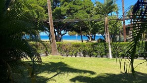 A tropical garden with palm trees and a view of the ocean. - Super cute, 1st floor unit across from the beach, a 1-minute walk to the beach! (Lahaina)