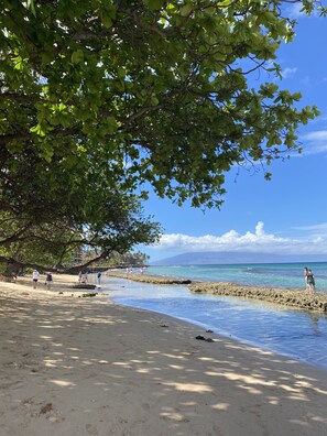 Beach nearby, sun-loungers, beach towels
