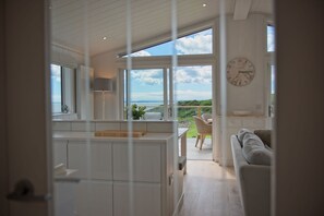 Télévision, cheminée, lecteur de DVD, livres