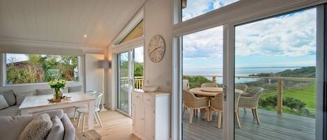 TV, fireplace, DVD player, books