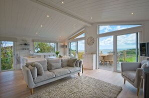 Télévision, cheminée, lecteur de DVD, livres