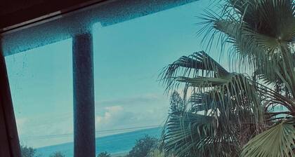 Immaculate designer house-sweeping views over iconic Blueys Beach 3min walk away