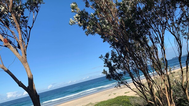 A beach with clear skies, ocean waves, and trees. - Immaculate designer house-sweeping views over iconic Blueys Beach 3min walk away (Blueys Beach)