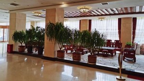 Ảnh chưa phân loại, 3 trong số 78 ảnh, nút