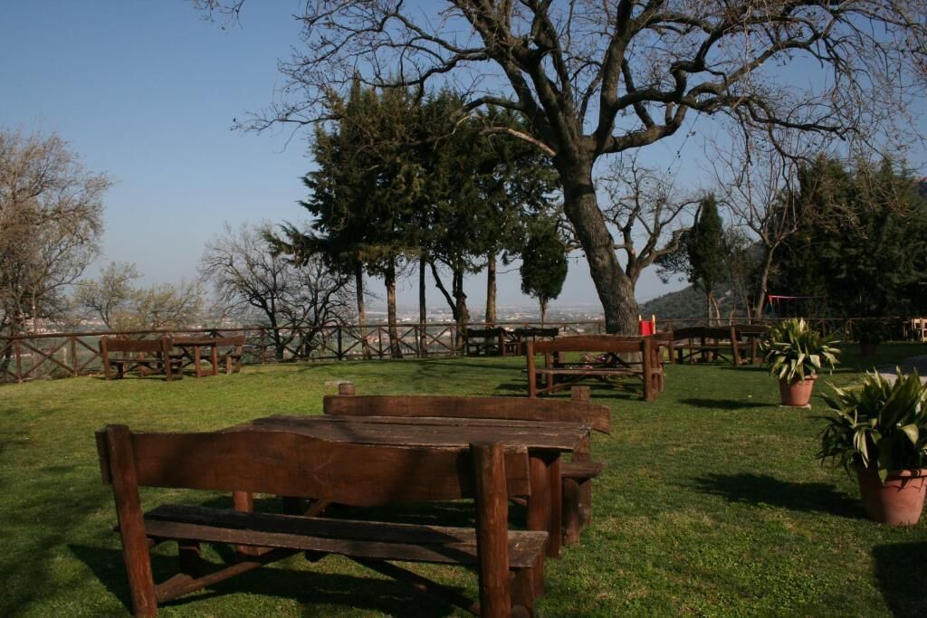 Un espace extérieur aménagé avec des bancs et des tables en bois, entouré d’arbres et de plantes en pot.