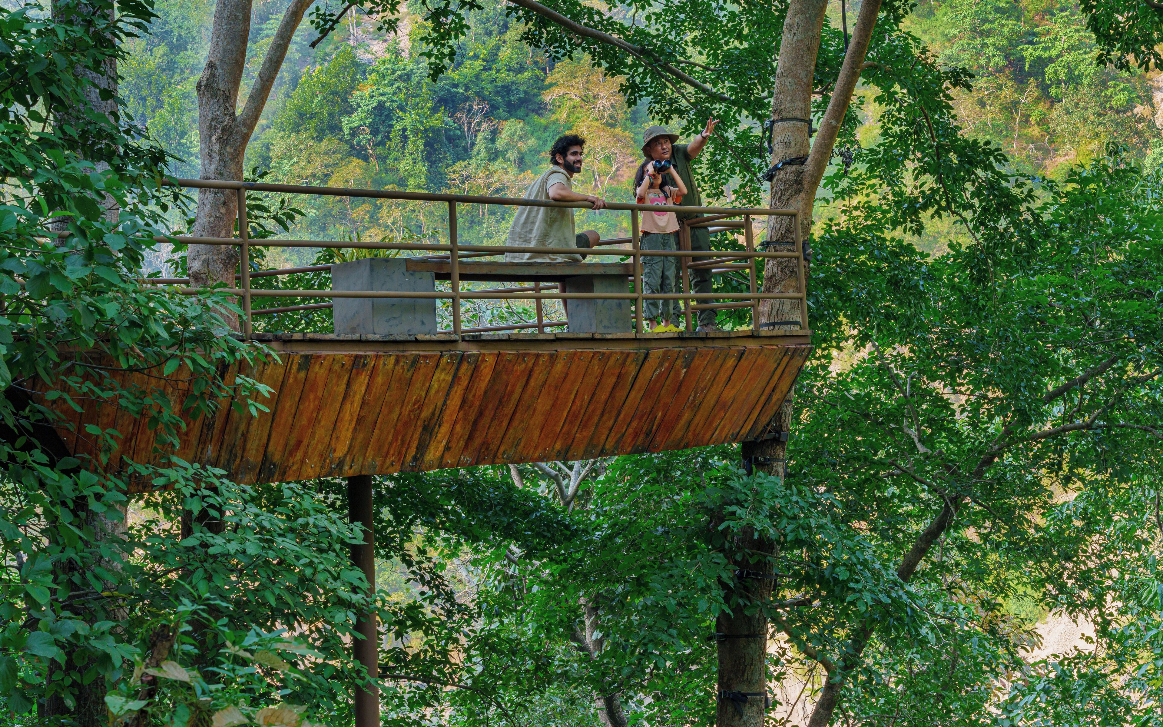 Une plateforme en bois, dotée de rampes en métal, entourée d’un feuillage verdoyant et luxuriant.