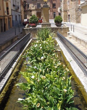 Stroll along the tranquil water feature, surrounded by stone walls in an urban setting.