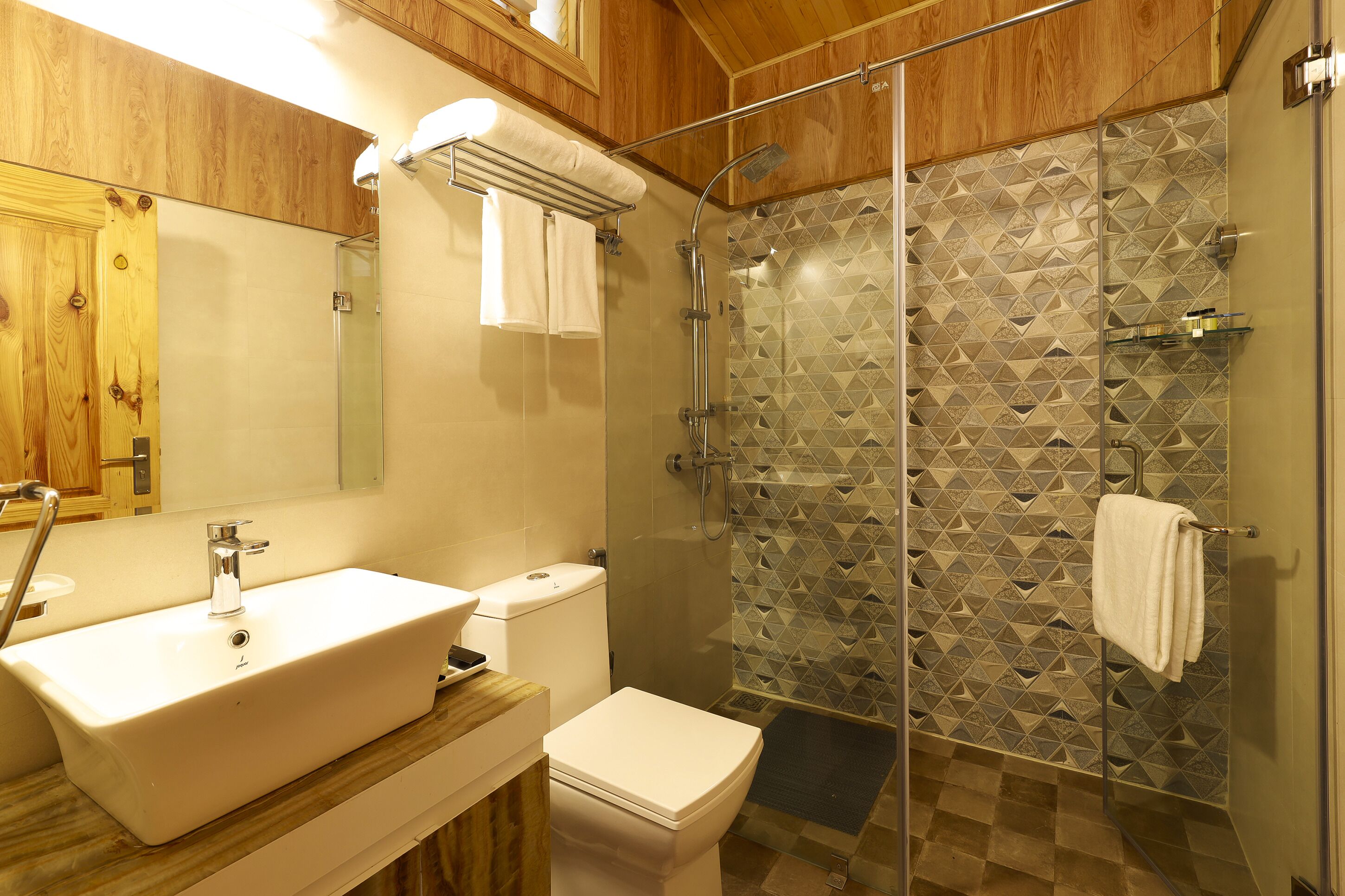 A bathroom with a large white sink, a toilet, a glass shower enclosure, and a wooden vanity.