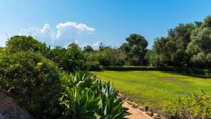 Ein gepflegter Garten mit vielfältigen Pflanzen und blauem Himmel.