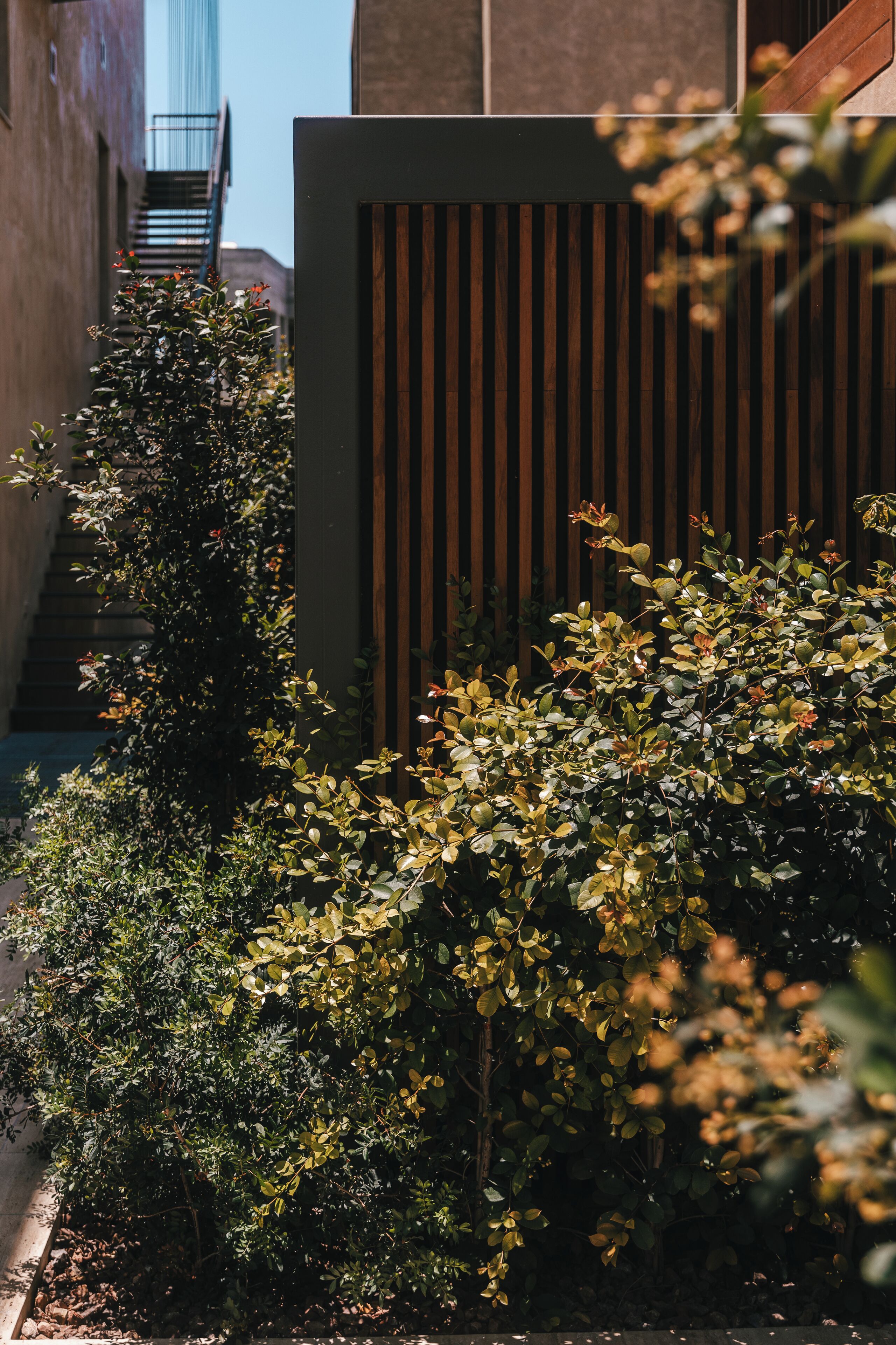 Photo - M Boutique Hotel - Designed for Adults