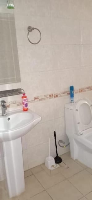 A bathroom with a sink, toilet, and a toilet paper holder.