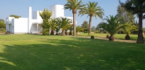 A modern white building with a flat roof and a chimney, surrounded by a well-maintained lawn and palm trees.