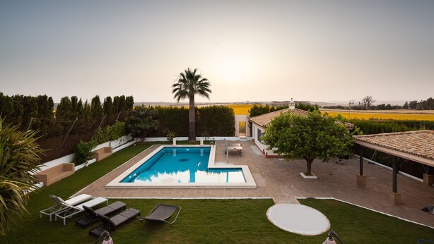 Una piscina con sillas de descanso, una palmera y vistas al campo.